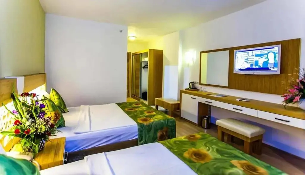 Large Standard room