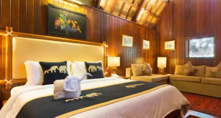 Mason Elephant Lodge - Chambres