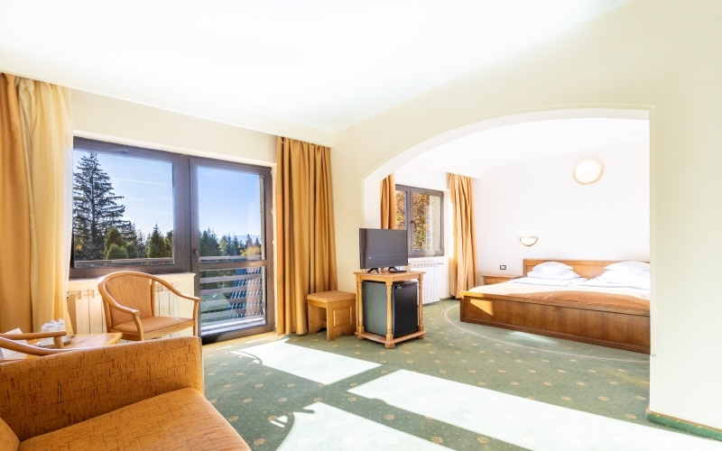 Hotel Casa Viorel - Chambres