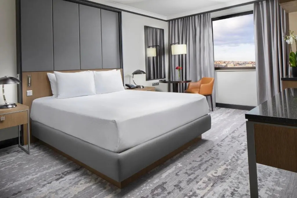 Executive Double Suite (full double bed)