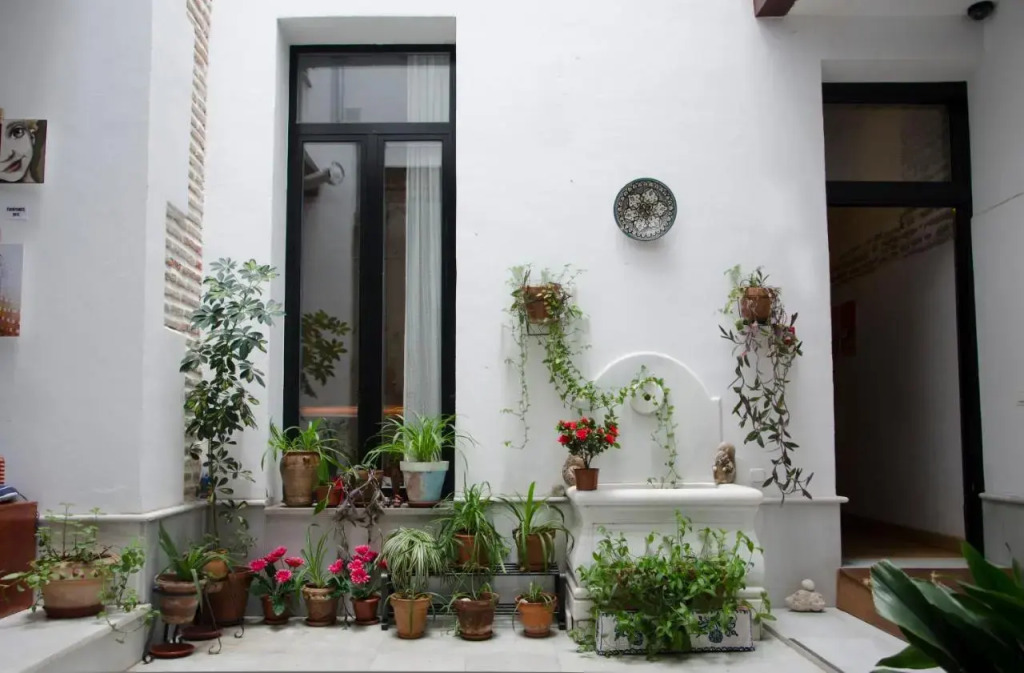 Image 11