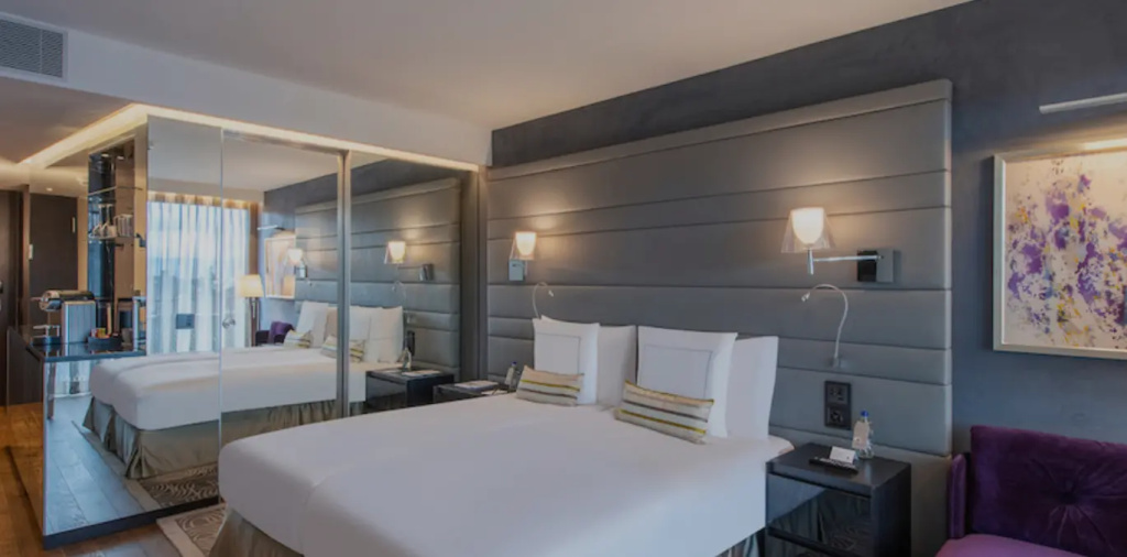 Deluxe Double room with balcony and with park view (full double bed)