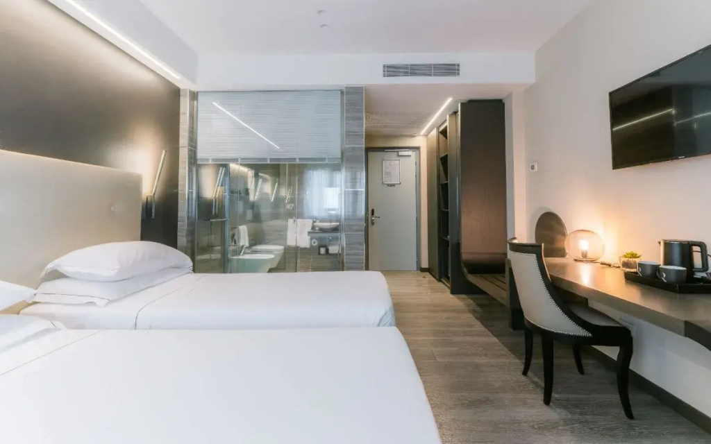 Deluxe Double room (twin beds)