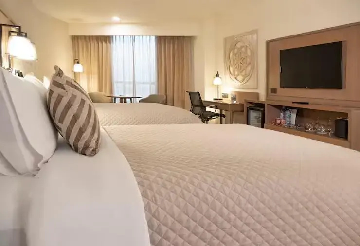 MS Milenium Monterrey, Curio Collection by Hilton - Chambres