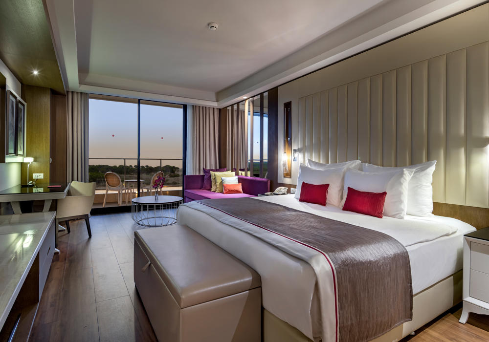 Economy Double room (full double bed)