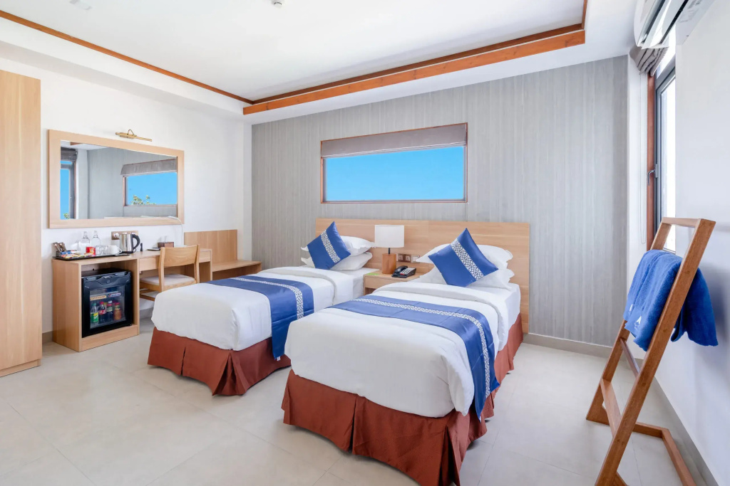 Deluxe Double room (twin beds)