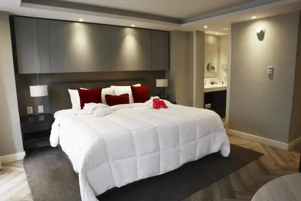 Terrace Double Junior Suite (full double bed)