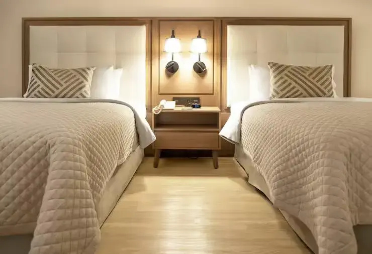 MS Milenium Monterrey, Curio Collection by Hilton - Chambres