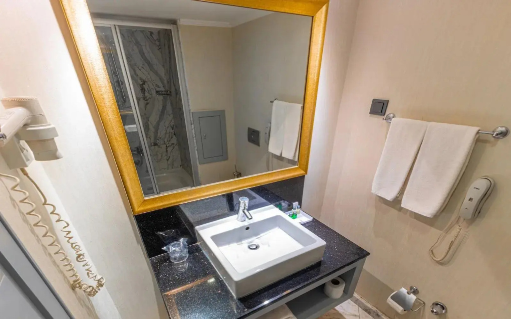 Ankara Plaza Hotel - Chambres