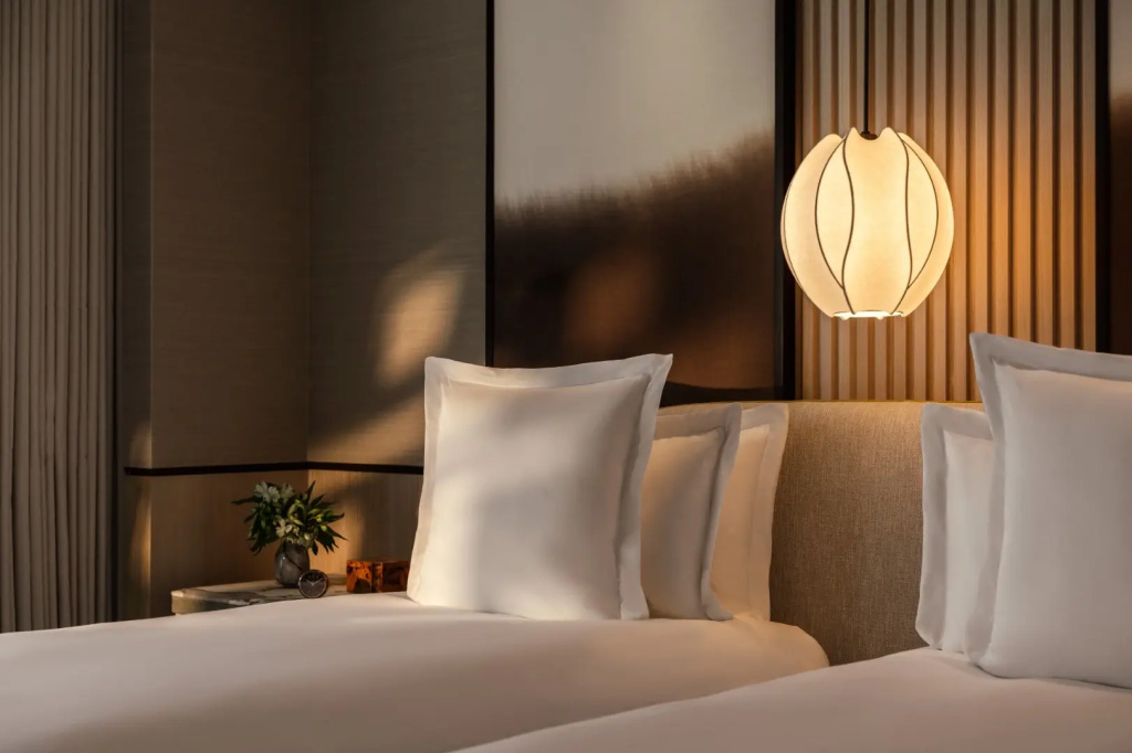 Deluxe Double room (twin beds)