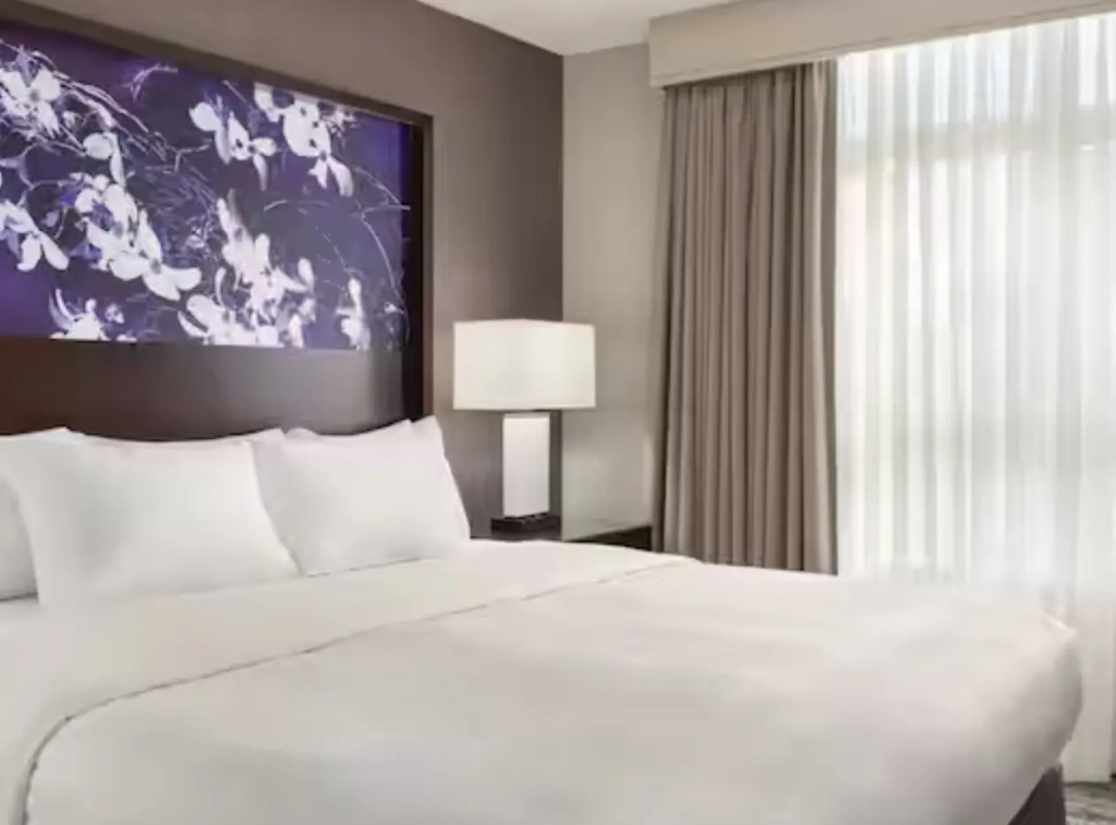 Embassy Suites by Hilton Atlanta at Centennial Olympic Park - Chambres