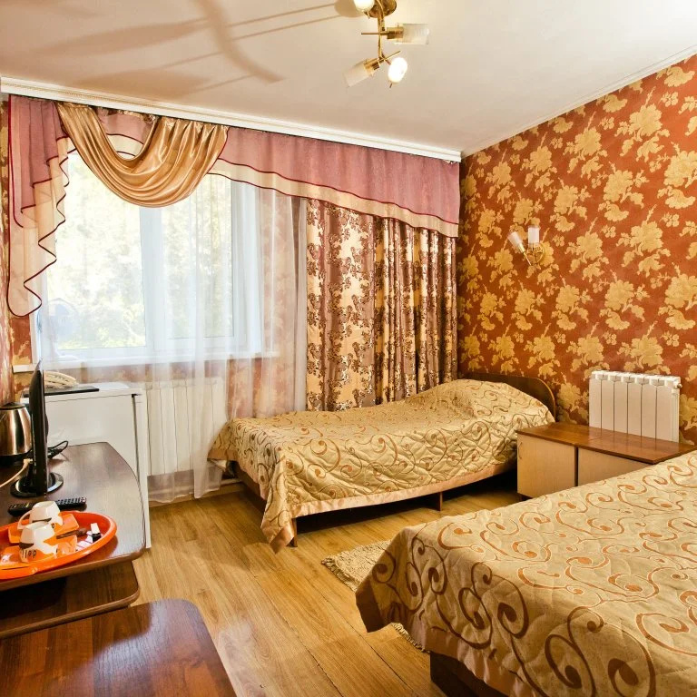 Standard Double room (twin beds)