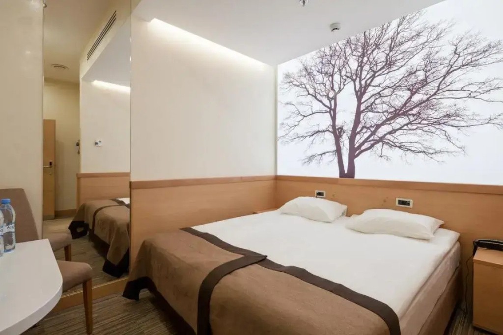 Standard No Window Double room (twin beds)
