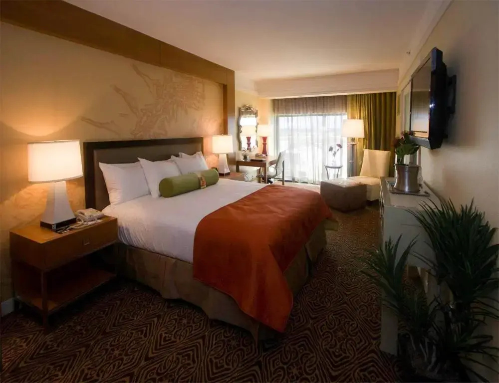 Hilton University of Houston - Chambres