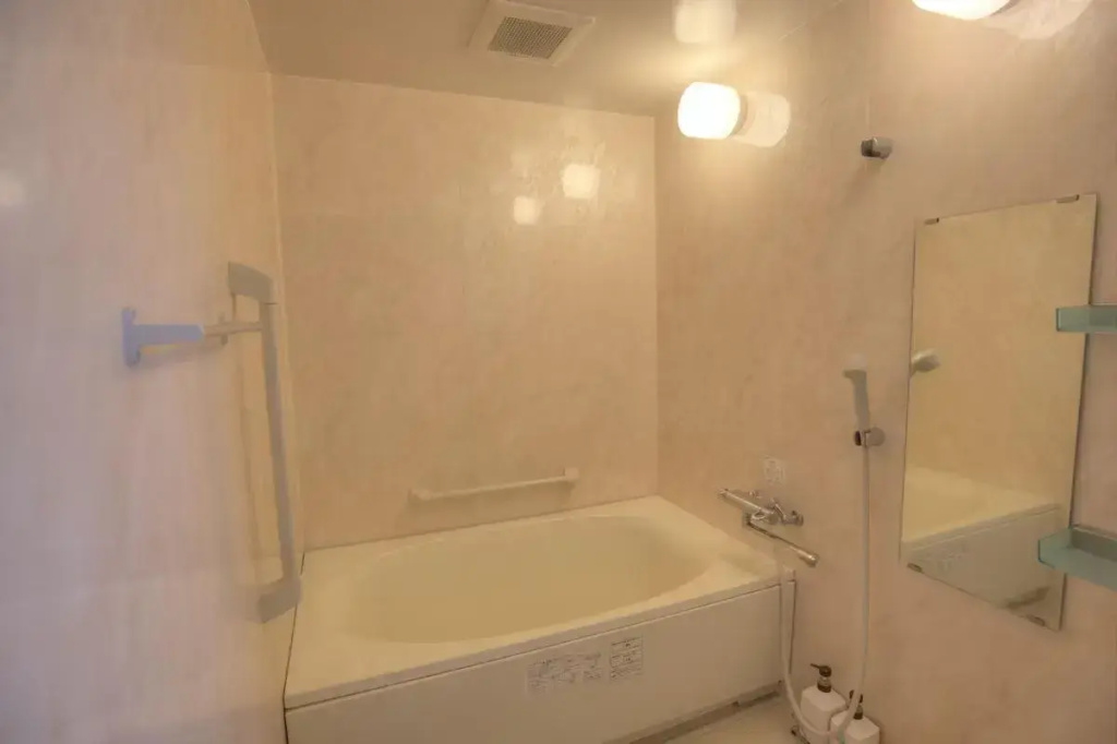 Palace Japan Hotel 사진 18