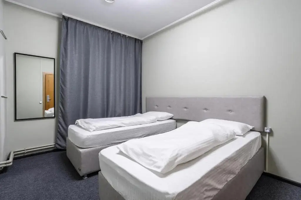Standard Double room (twin beds)
