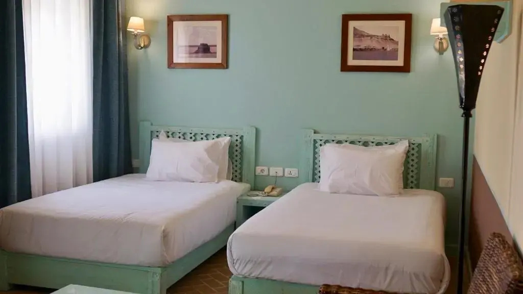 Standard Double room with Terrace (twin beds)