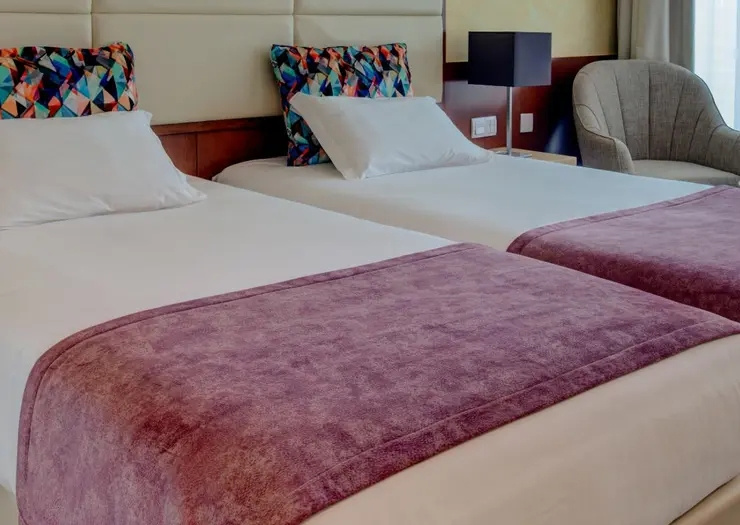 Standard Double room (twin beds)