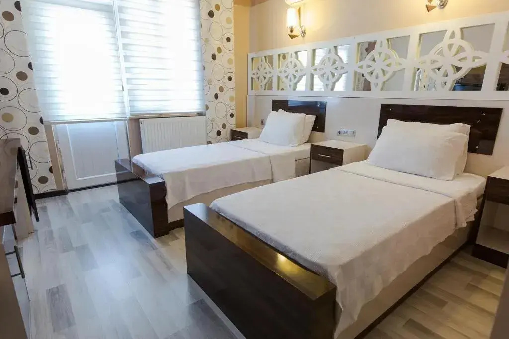 Deluxe Double room (twin beds)