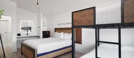 Sego Lily Suite