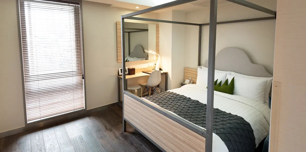 Deluxe Double room (full double bed)