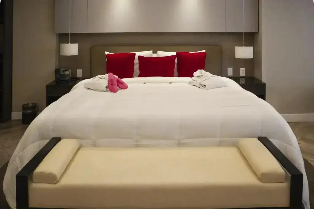 Double Junior Suite (full double bed)