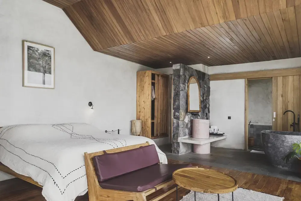 Suite with mountain view