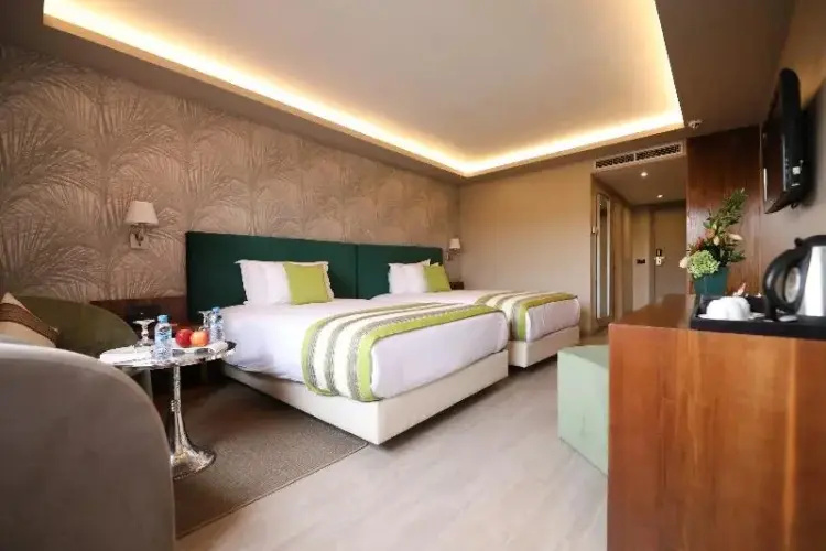 Superior Double room (twin beds)