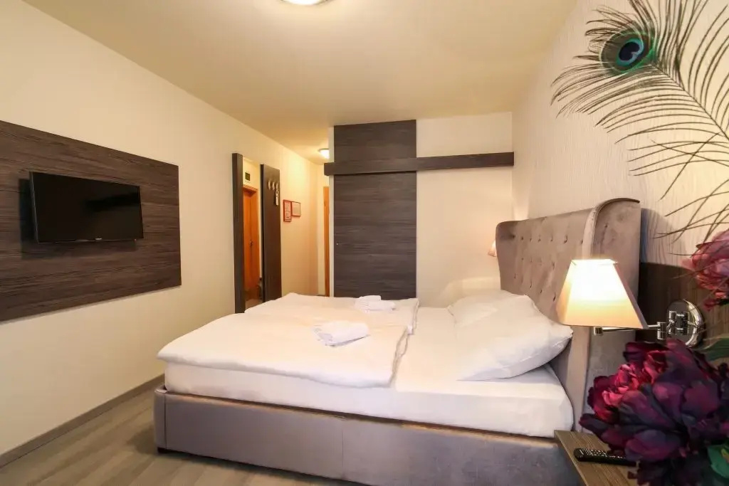 Standard Double room (twin beds)
