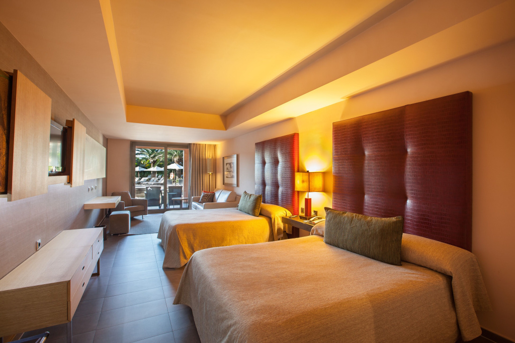 Standard Adapted Double room (full double bed)