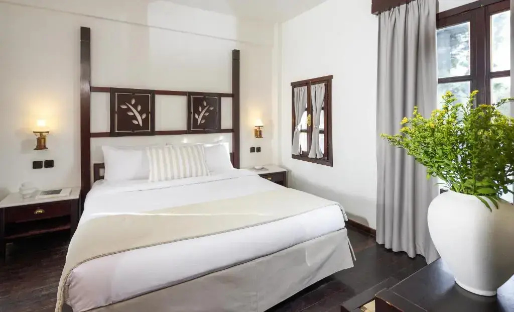 1 Bedroom Suite