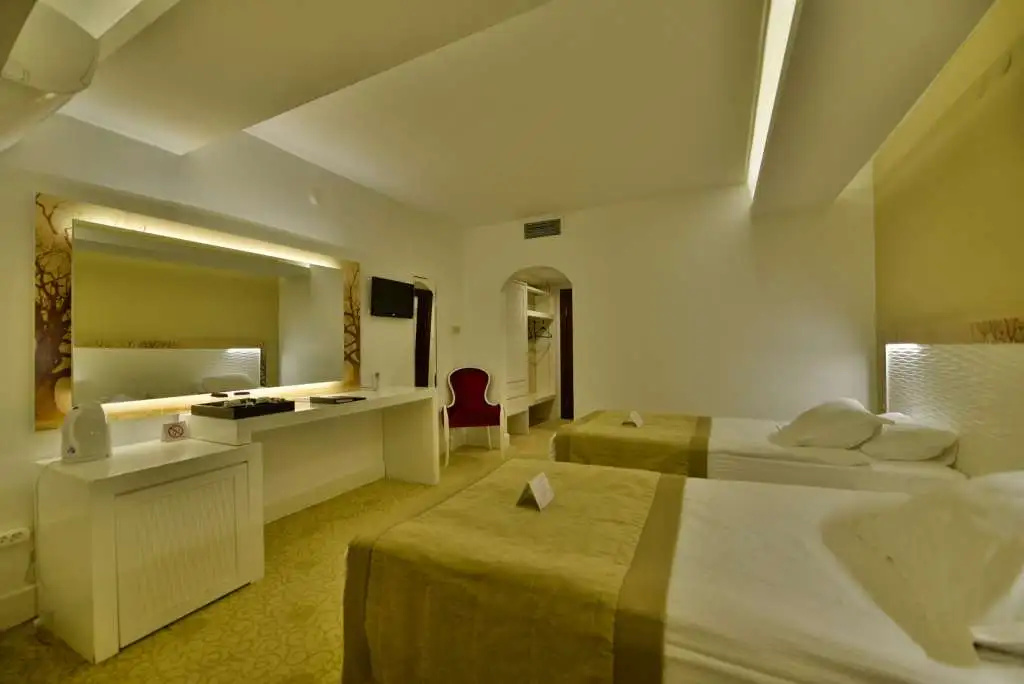 Standard Double room (twin beds)