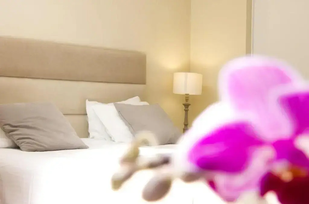 Cegonha Country Club - Chambres