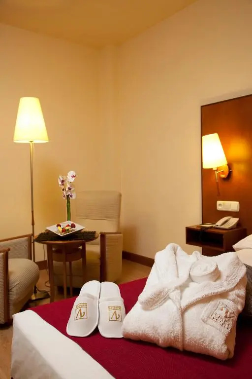 Hotel Vincci Ciudad de Salamanca - Général