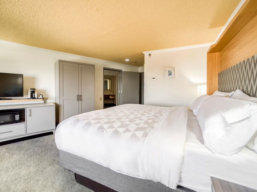 Holiday Inn Mobile-Dwtn/Hist. District by IHG - Chambres
