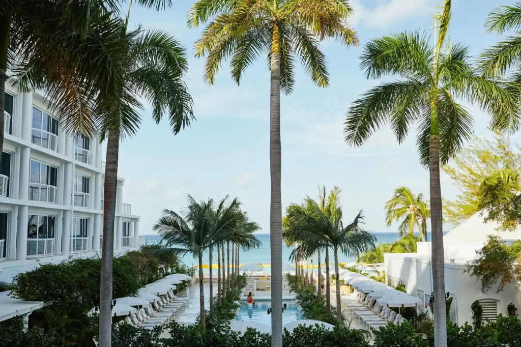 Palm Heights - 3