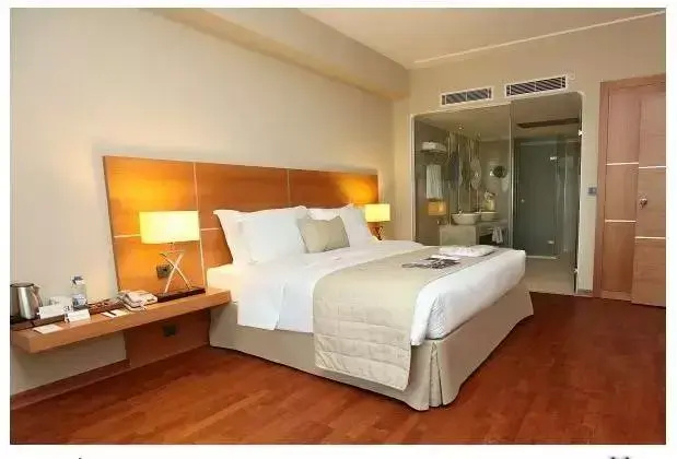 Double Junior Suite (full double bed)