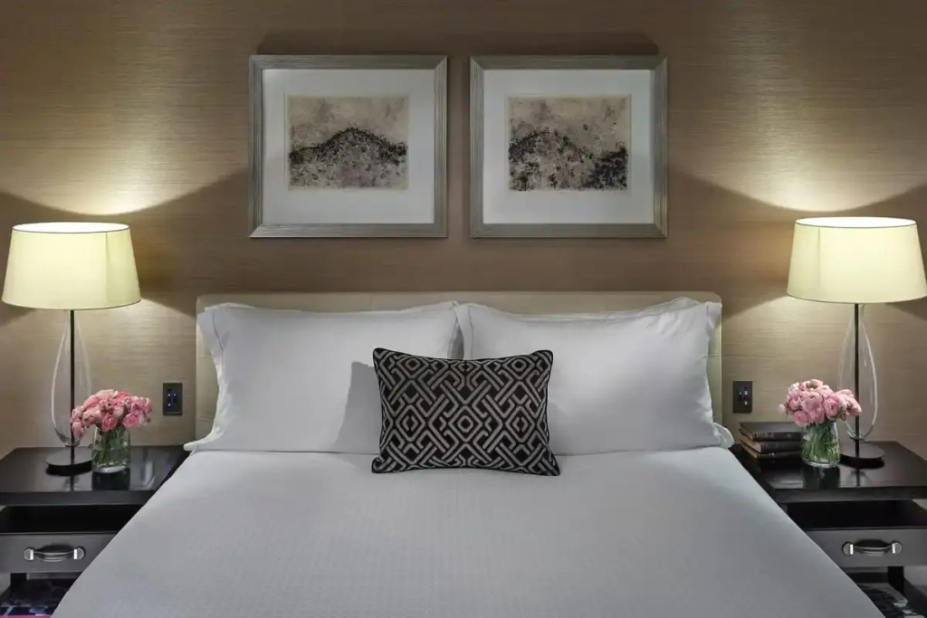 Deluxe Accessible Double room (full double bed)