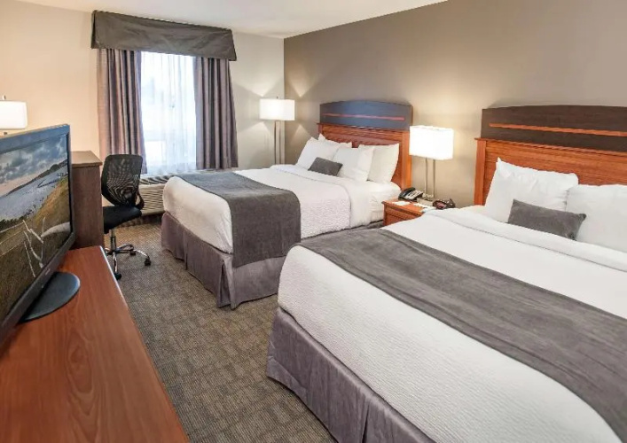Pet Friendly room