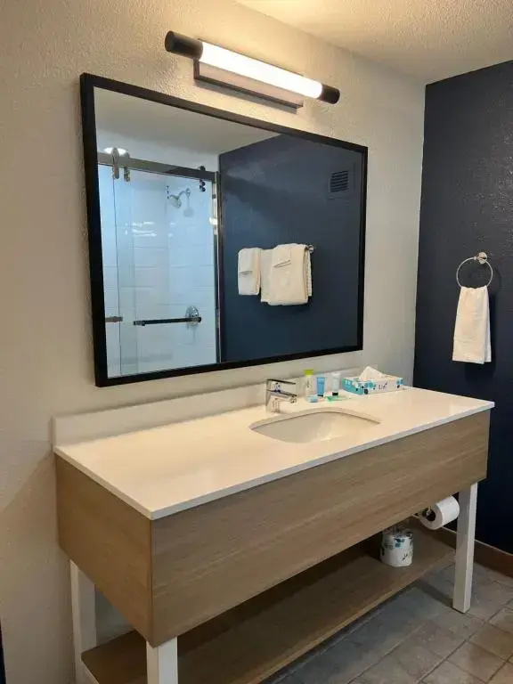 Best Western PLUS Denver Tech Center Hotel - Général