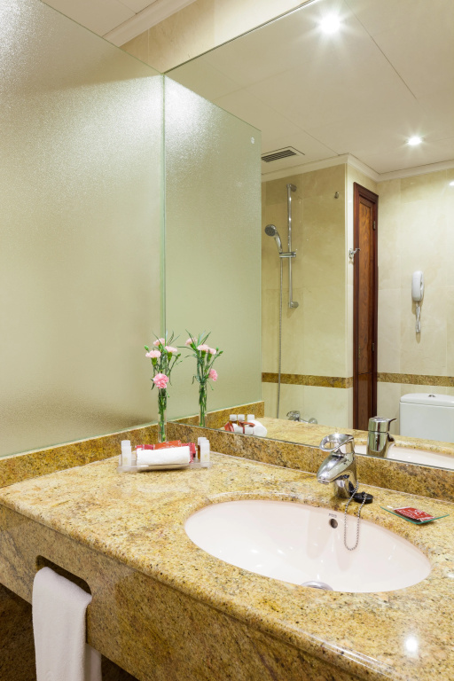 Royal Plaza Hotel - Chambres