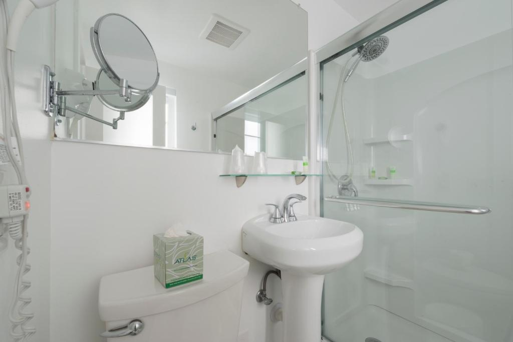 The Penguin Hotel - Chambres
