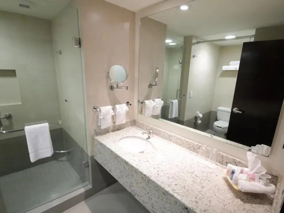 Crowne Plaza Leon by IHG - Chambres