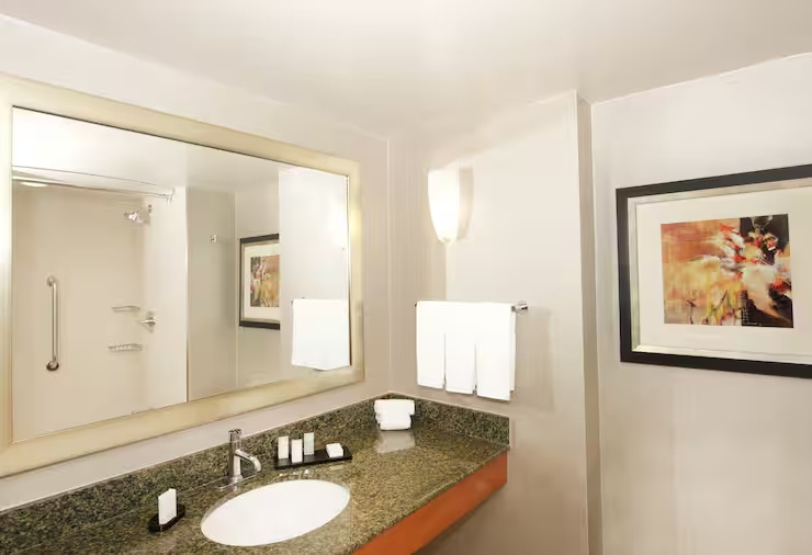 Embassy Suites by Hilton Detroit Livonia Novi - Chambres