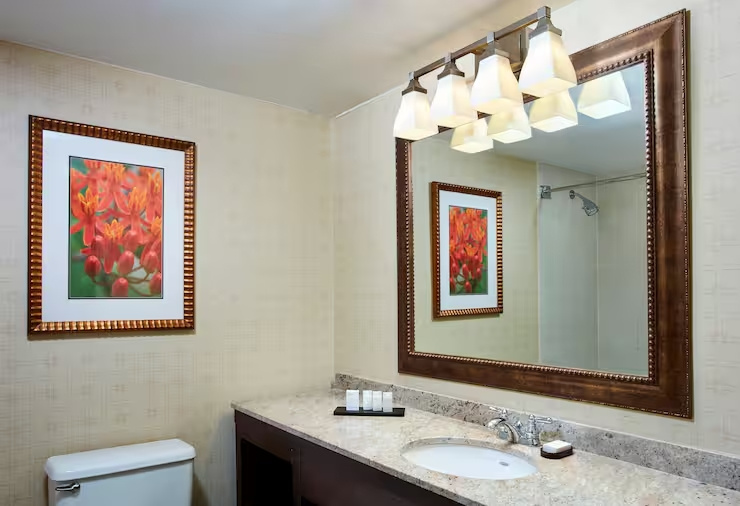 Embassy Suites by Hilton Parsippany - Chambres