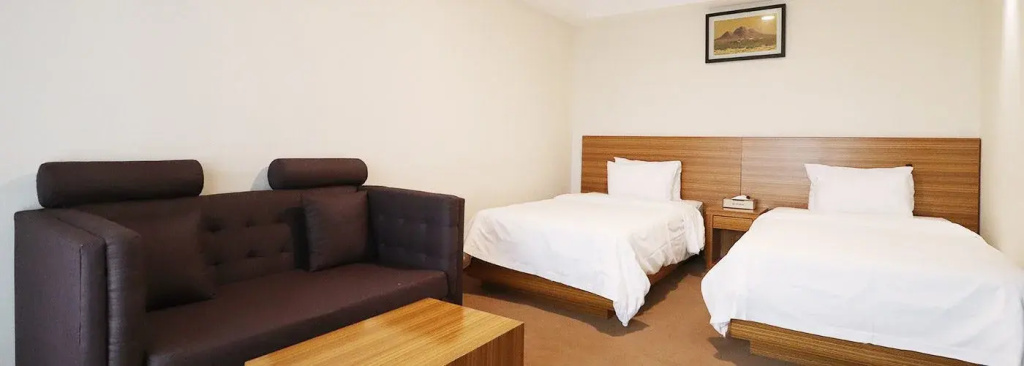 Standard Double room (twin beds)