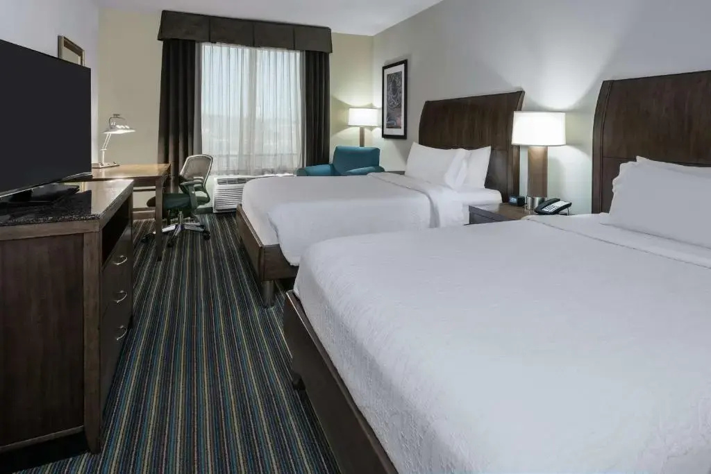 Hilton Garden Inn San Antonio At The Rim - Chambres