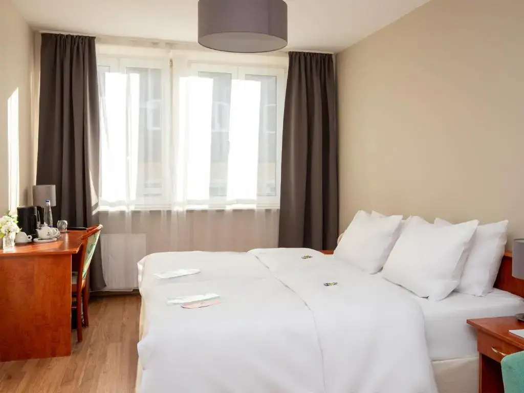 Standard Double room (full double bed)