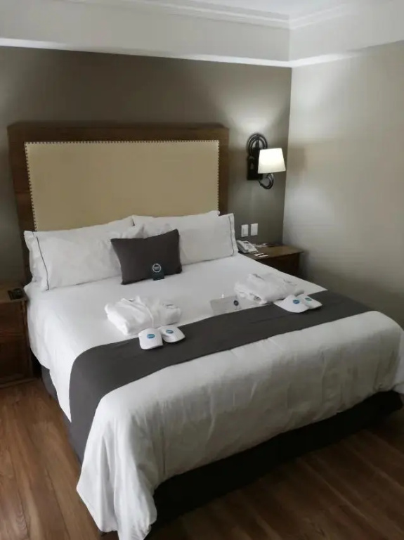 Terrace Double room full double bed