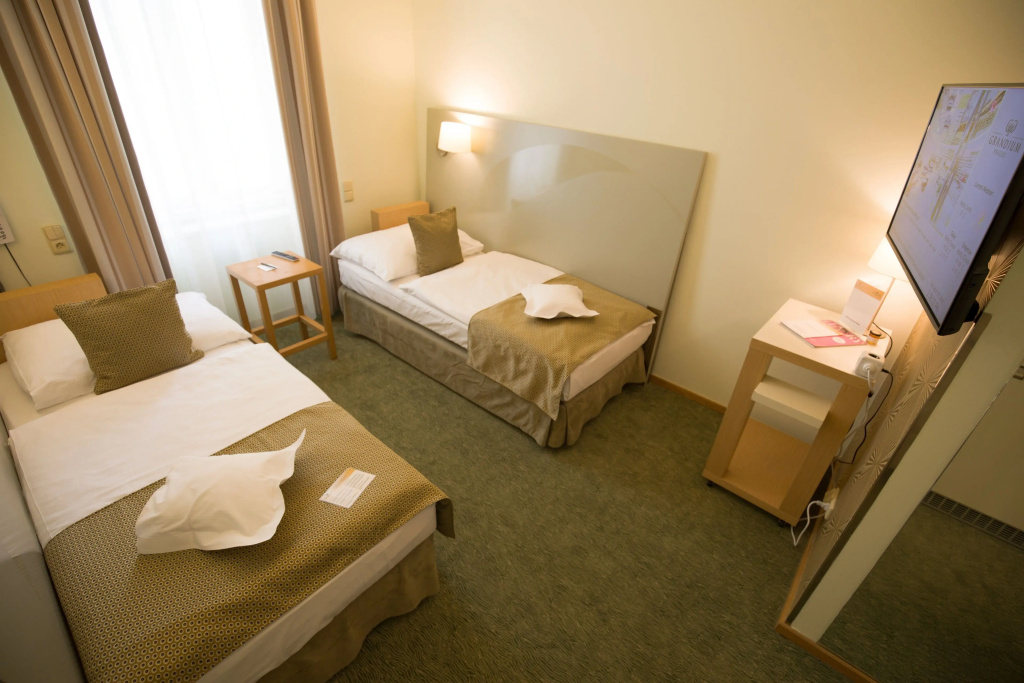 Deluxe Double room (twin beds)